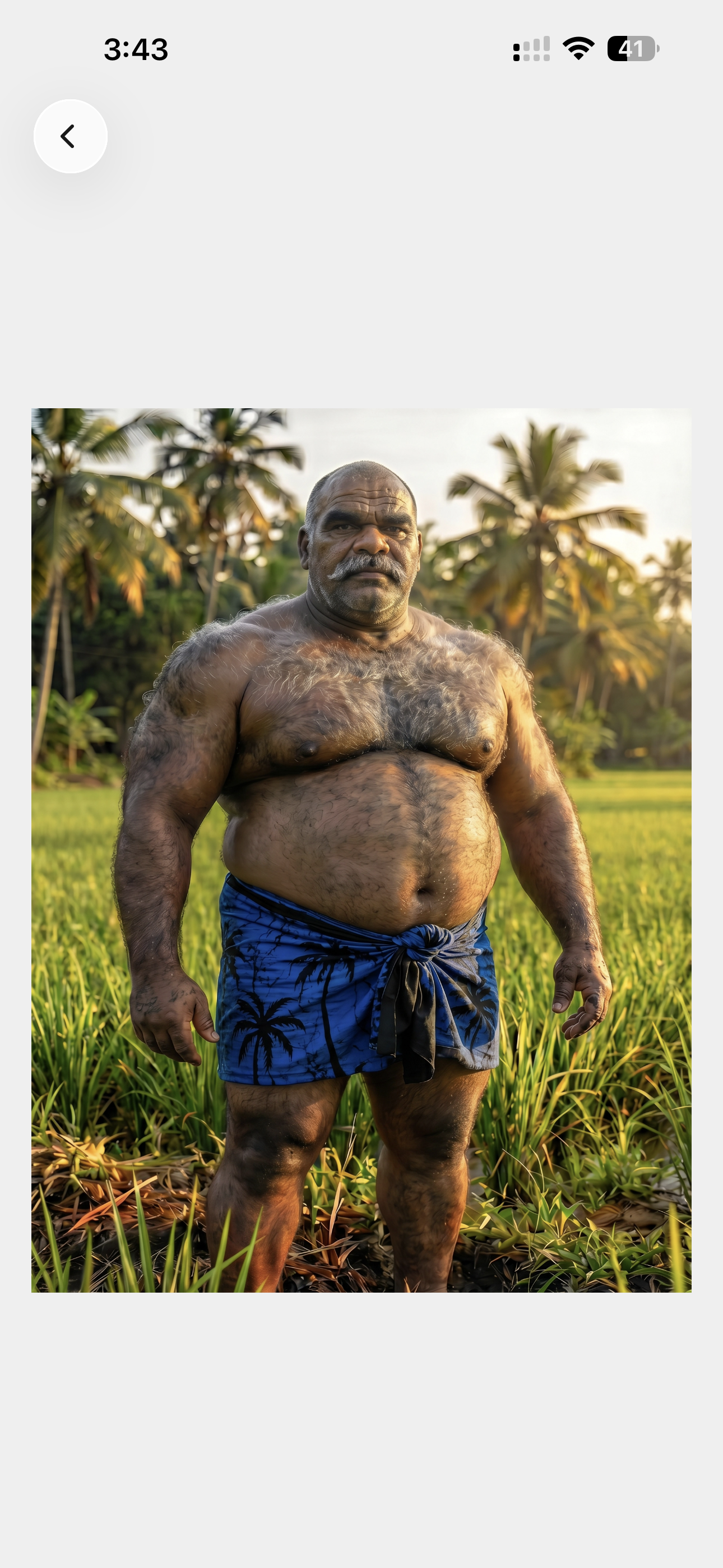 Blue Palm — Paddy Field