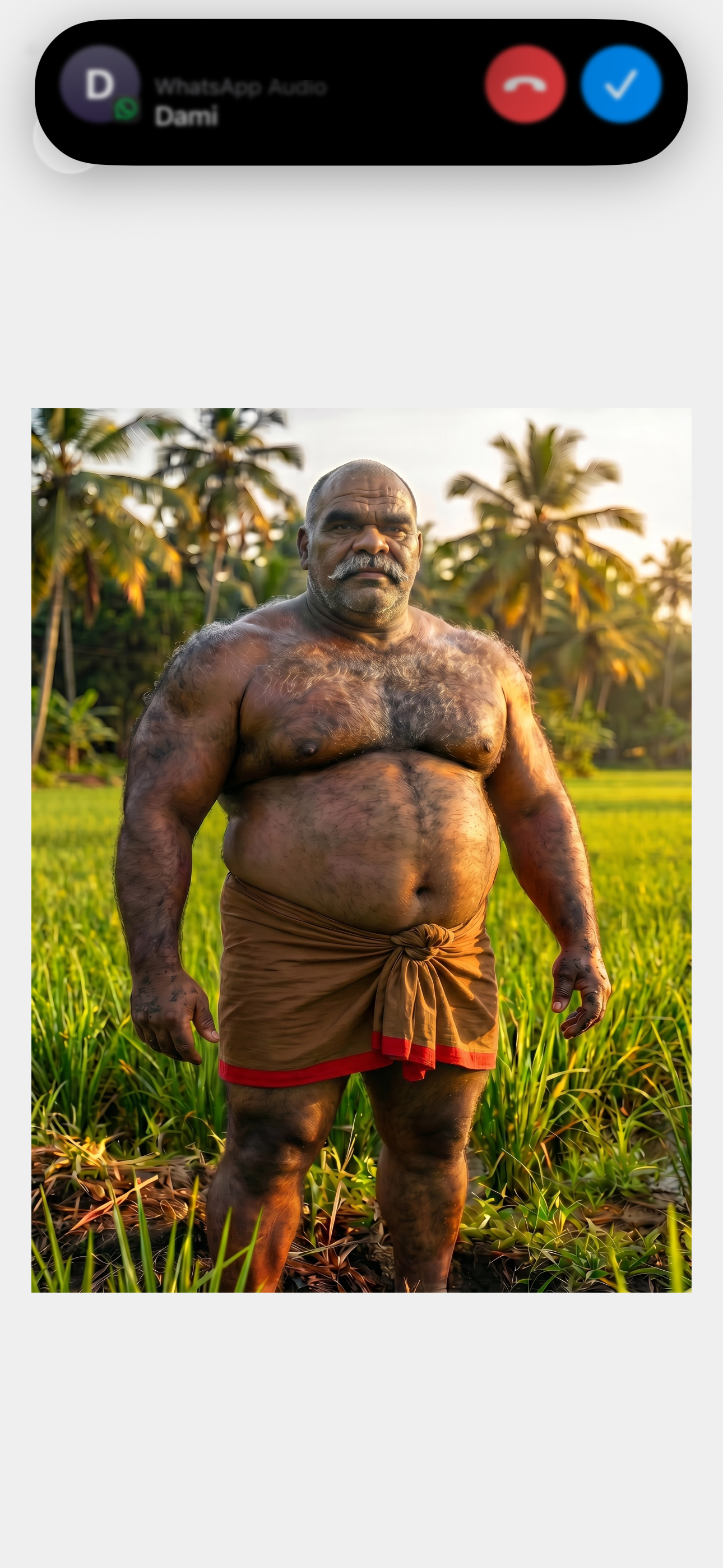 Brown Red — Field Stand